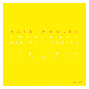 NATE WOOLEY / ネイト・ウーリー / Knknighgh (Minimal Poetry for Aram Saroyan)