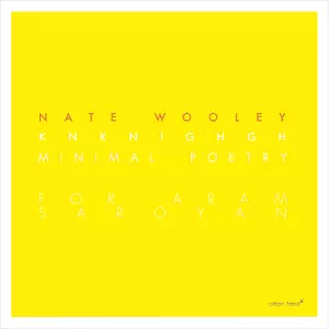 NATE WOOLEY / ネイト・ウーリー / Knknighgh (Minimal Poetry for Aram Saroyan)