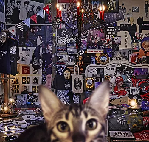 廃盤　BUCK-TICK CATALOGUE 1987-2016 初回限定盤B CATALOGUE 1987-2016(初回限定盤B 4CD+DVD)/BUCK-TICK/バクチク｜日本