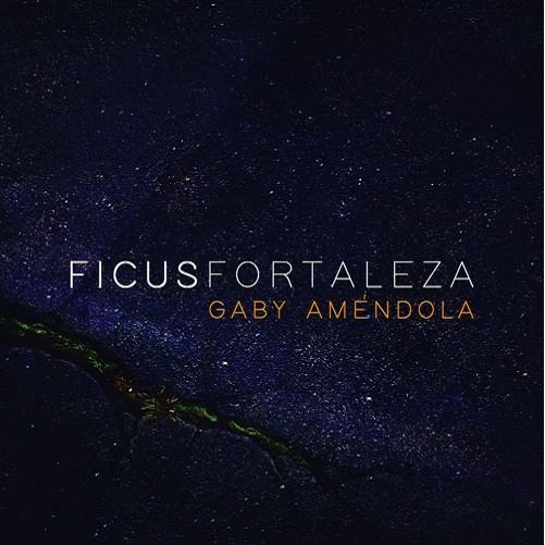 GABY AMENDOLA / ガビー・アメンドラ / FICUSFORTALEZA