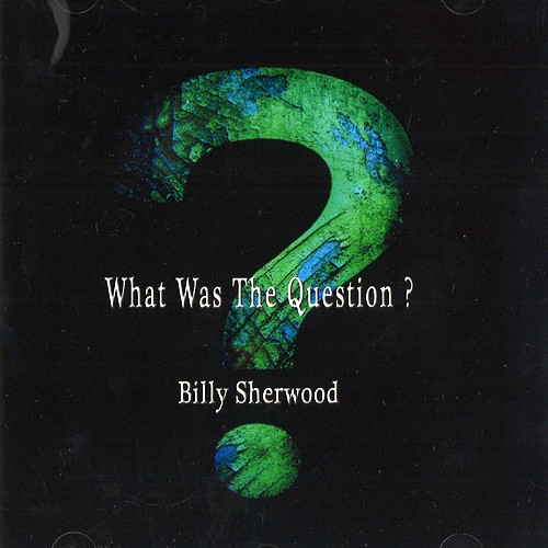 BILLY SHERWOOD / ビリー・シャーウッド / WHAT WAS THE QUESTION?