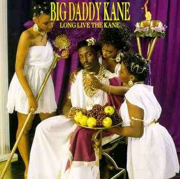 BIG DADDY KANE / ビッグ・ダディ・ケイン / LONG LIVE THE KANE "LP"