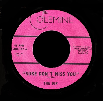 dip / SURE DON'T MISS YOU / INSTRUMENTAL (7")