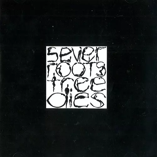 CHEER-ACCIDENT / チア・アクシデント / SEVER ROOTS 