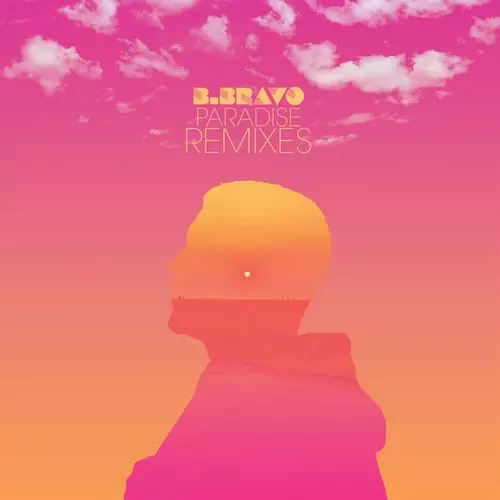 b.bravo レコード B. BRAVO商品一覧｜SOUL / BLUES｜ディスクユニオン・オンライン