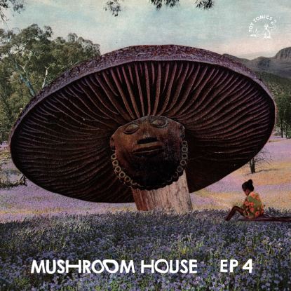 V.A. (TOY TONICS) / MUSHROOM HOUSE EP4
