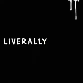 邦楽 LIVERALLY LiveRally/V.A (LiveRally)｜HIPHOP/R&B｜ディスクユニオン