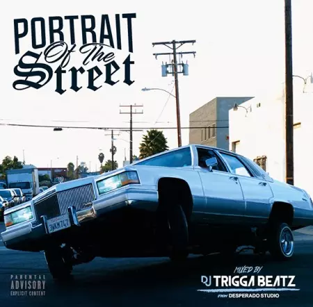PORTRAIT OF THE STREETS/DJ TRIGGABEATZ｜HIPHOP/R&B｜ディスク