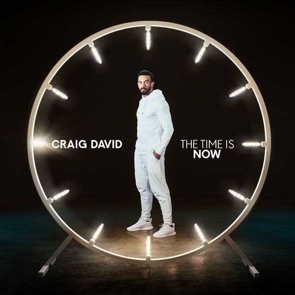 CRAIG DAVID / クレイグ・デイヴィッド / THE TIME IS NOW "2LP"