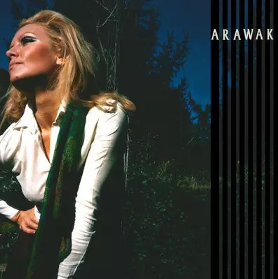 ARAWAK / アラワク / ACCADDE A...(LP)
