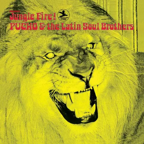 Pucho & The Latin Soul Brothers リイシュー JUNGLE FIRE/PUCHO & HIS LATIN SOUL BROTHERS/プーチョ & ヒズ