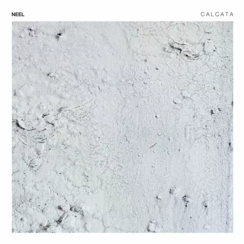 NEEL / CALCATA