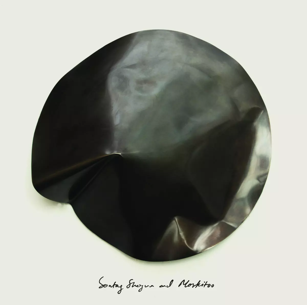 SONTAG SHOGUN & MOSKITOO / THINGS WE LET FALL APART/THUNDERSWAN