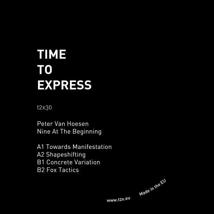 PETER VAN HOESEN / ピーター・ヴァン・ホーセン / NINE IN THE BEGINNING