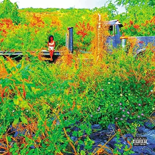 JHENE AIKO商品一覧｜LATIN/BRAZIL/WORLD MUSIC｜ディスクユニオン