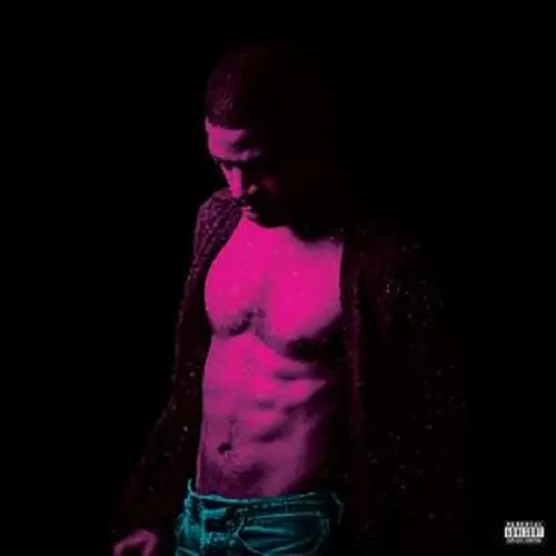 KID CUDI / キッド・カディ / "PASSION, PAIN & DEMON SLAYIN'"