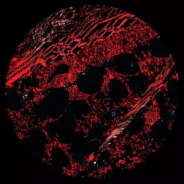 PENIK ETTEK / DATASMOK & D.CARBONE / UNTITLED