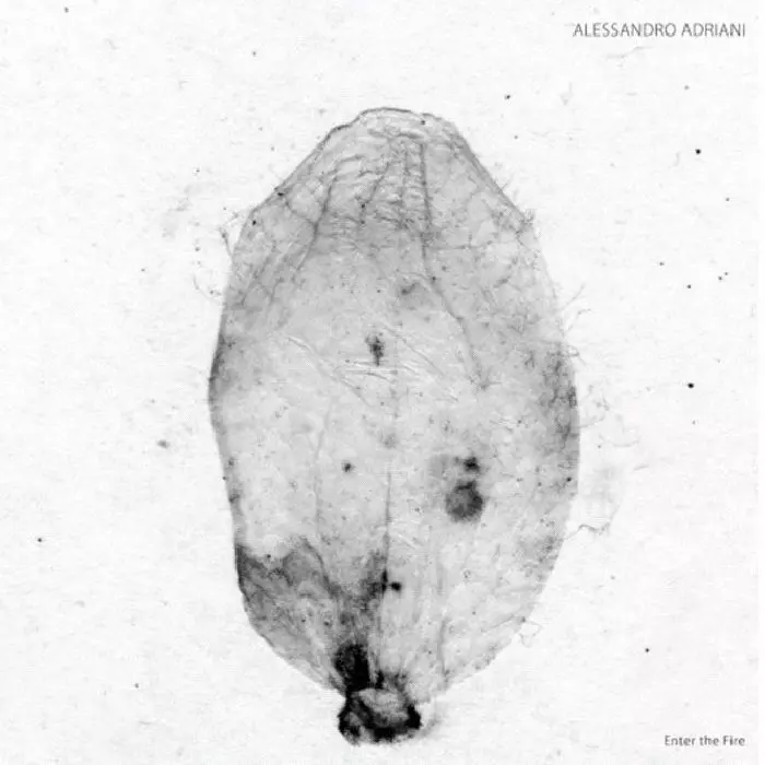 ALESSANDRO ADRIANI / ENTER THE FIRE