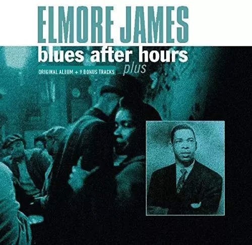 ◾️ブルース名盤□ELMORE JAMES □エルモア・ジェームス □Someth