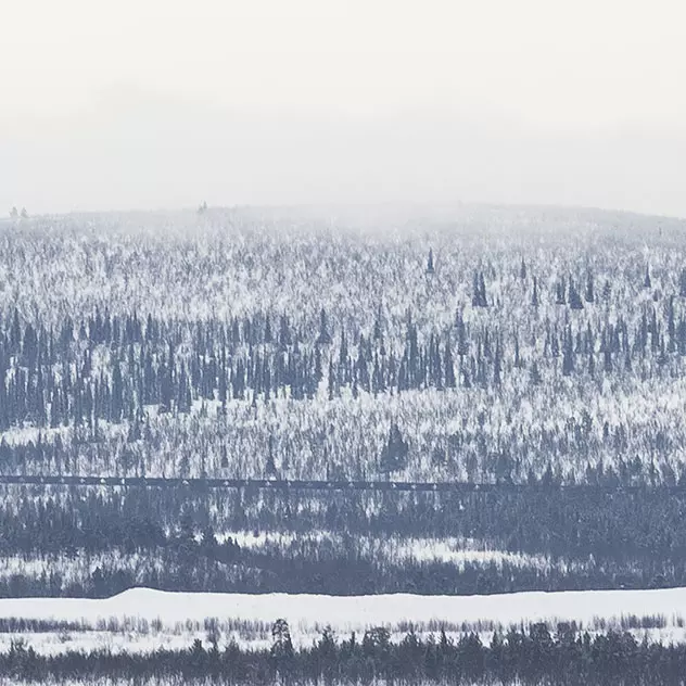 ACRONYM / アクロニウム / MALM