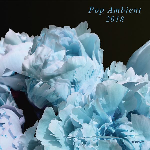 V.A.(POP AMBIENT) / POP AMBIENT 2018