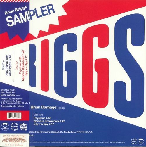 BRIAN BRIGGS / SPECIAL SAMPLER: SELECTED MUSIC FROM THE ALBUM BRIAN DAMAGE(12")