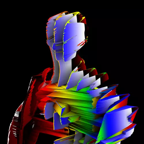 VISIBLE CLOAKS / ビジブル・クロークス / LEX