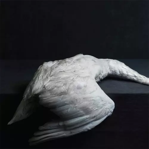 AMENRA / MASS VI