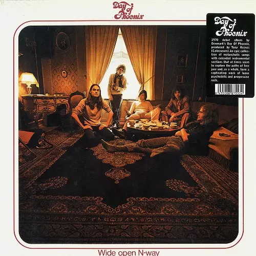 DAY OF PHOENIX / デイ・オブ・フェニックス / WIDE OPEN N-WAY - 180g LIMITED VINYL/REMASTER