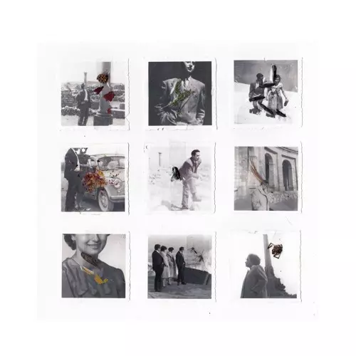 REEKO / HUMANS OR ANIMALS EP