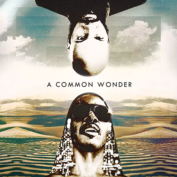 COMMON VS STEVIE WONDER / COMMON WONDER (RED VINYL)