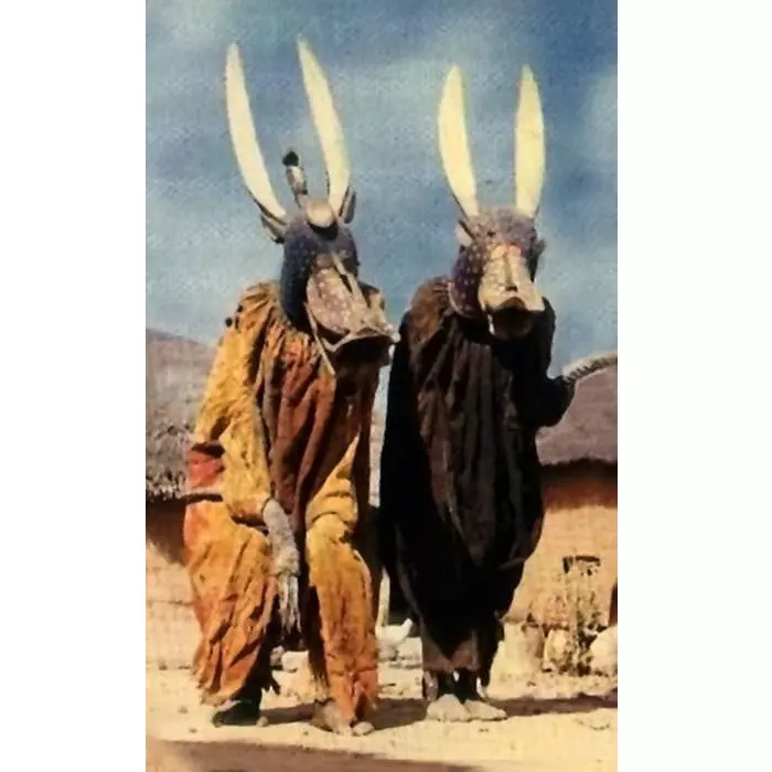 NIHILOXICA / ニヒロシカ / NIHILOXICA