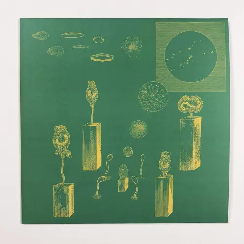 BEAR BONES, LAY LOW / ATLANTEAN ENCRYPTED MESSAGE