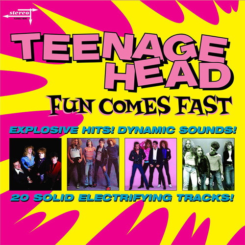 TEENAGE HEAD / ティーンエイジヘッド / FUN COMES FAST