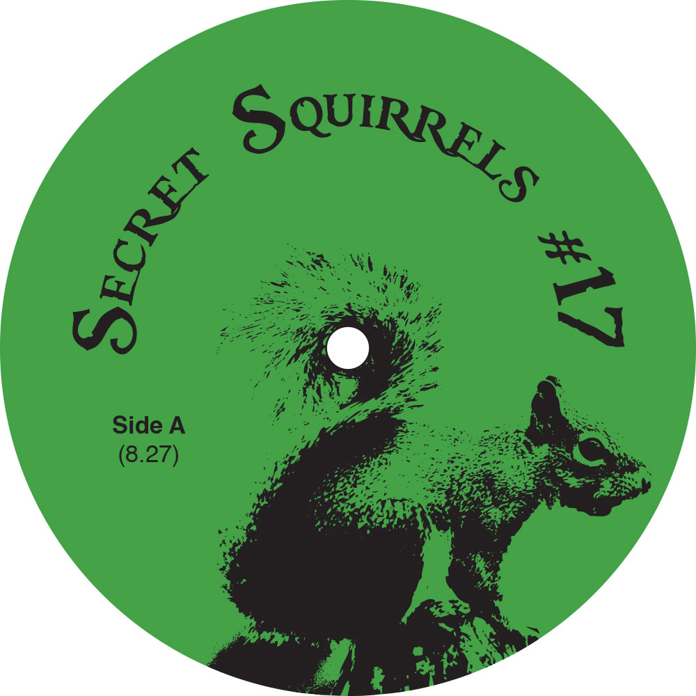 SECRET SQUIRRELS / #17