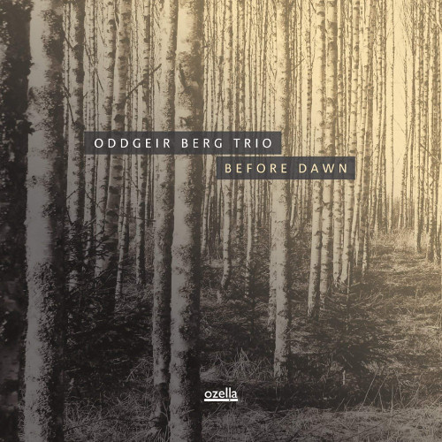 ODDGEIR BERG / オッドゲイル・ベルグ / Before Dawn(LP/180g)