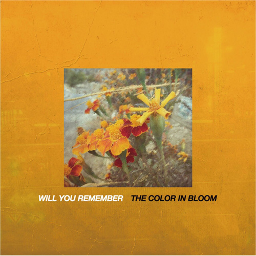 WILL YOU REMEMBER / The Color In Bloom