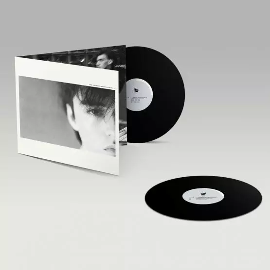 CRUMBLING THE ANTISEPTIC BEAUTY (DELUXE REMASTERED GATEFOLD SLEEVE
