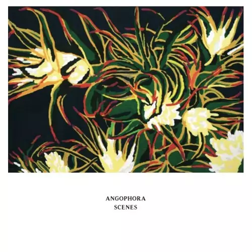 ANGOPHORA / SCENES