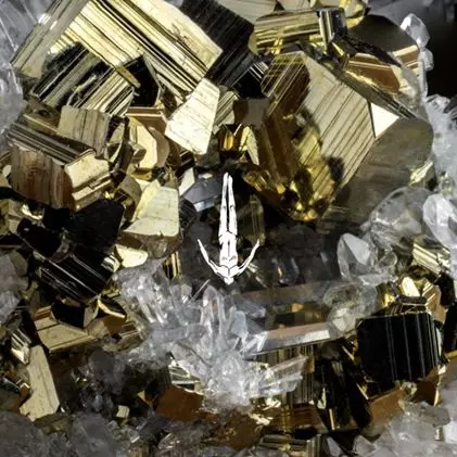 MIND AGAINST / マインド・アゲインスト / DAYS GONE