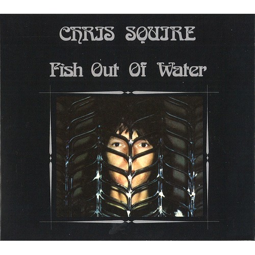 クリス・スクワイア 未知への飛翔 CHRIS SQUIRE/FISH OUT OF WATER 