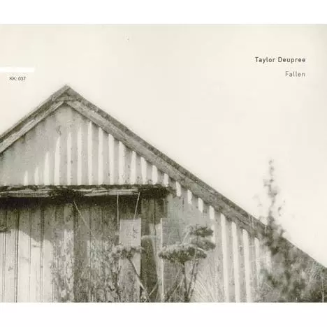 TAYLOR DEUPREE / テイラー・デュプリー / FALLEN