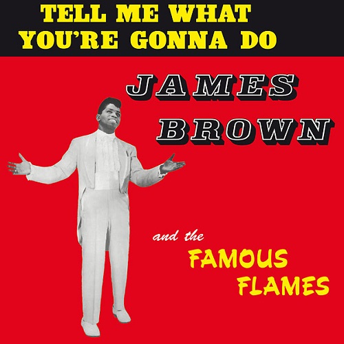 JAMES BROWN / ジェームス・ブラウン / TELL ME WHAT YOU'RE GONNA DO (LP)