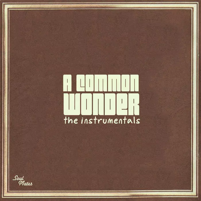 A COMMON WONDER レコード　アナログ　LP 2枚組 COMMON VS STEVIE WONDER商品一覧｜ディスクユニオン