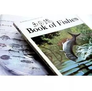 魚図鑑(期間限定生産盤)/Sakanaction/サカナクション｜日本のロック