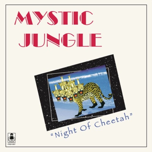 MYSTIC JUNGLE TRIBE / ミスティック・ジャングル・トライブ / NIGHT OF CHEETAH