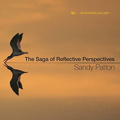 SANDY PATTON / サンディ・パットン / Saga Of Reflective Perspectives