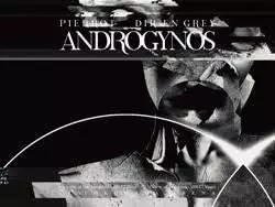 DIR EN GREY PIERROT ANDROGYNOS 豪華版DVD＋CD ANDROGYNOS<豪華版>/PIERROT / DIR EN GREY｜日本のロック