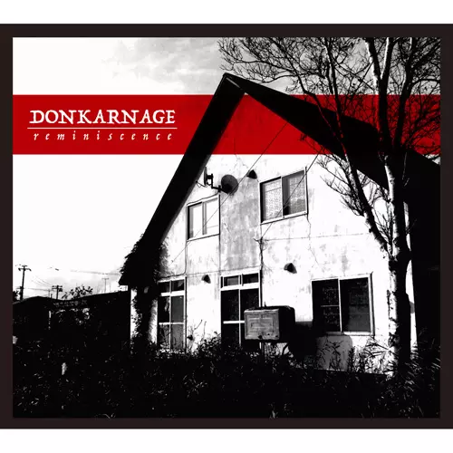 DON KARNAGE / reminiscence