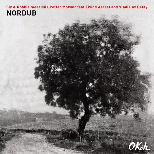 NILS PETTER MOLVAER / ニルス・ペッター・モルヴェル / Nordub